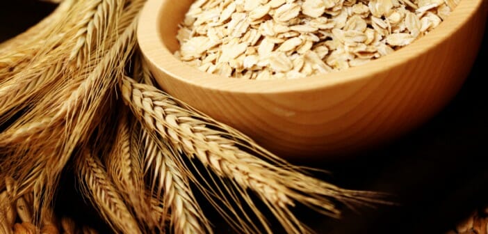 Les céréales : aliment de base