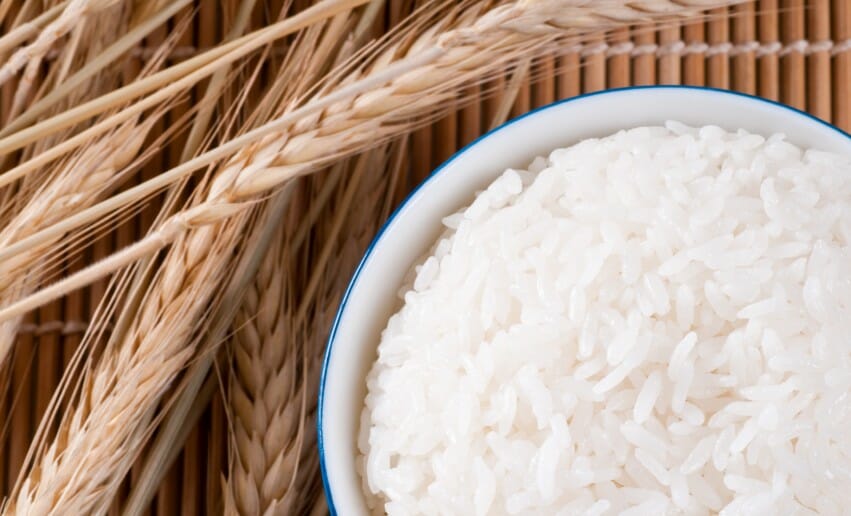 le riz des vertus controversees