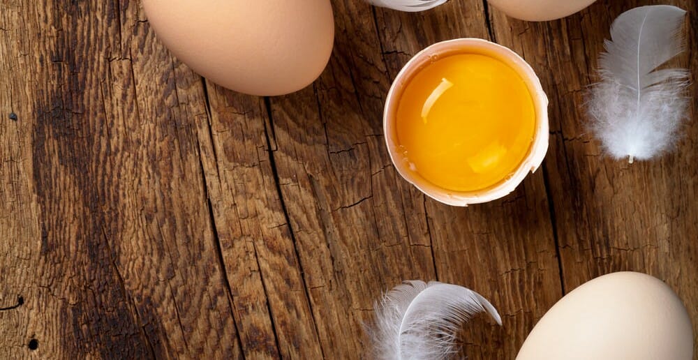 L’œuf fait-il réellement grossir ?