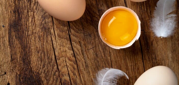 L’œuf fait-il réellement grossir ?