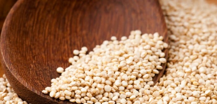 Le quinoa est-il calorique ?