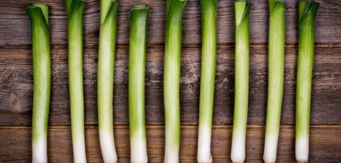 Les légumes qui font le plus maigrir