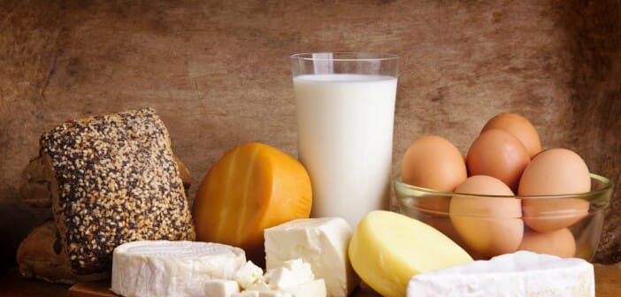 Les produits laitiers font-ils grossir ?