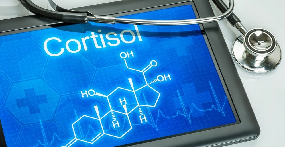 Le cortisol fait-il maigrir ?