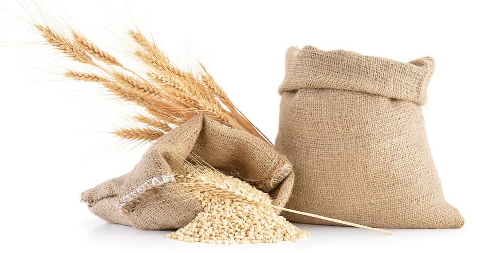 Le son de blé fait-il grossir ? - Le blog