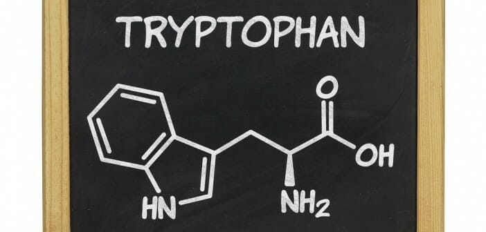 Le tryptophane pour maigrir