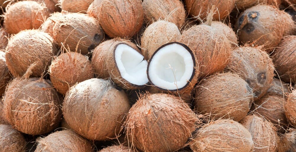 La noix de coco est-elle grasse ?