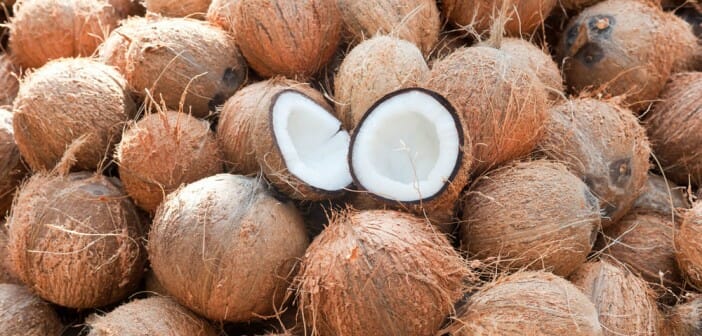 La noix de coco est-elle grasse ?