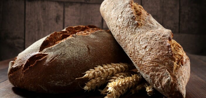 Le pain de campagne fait-il grossir ?