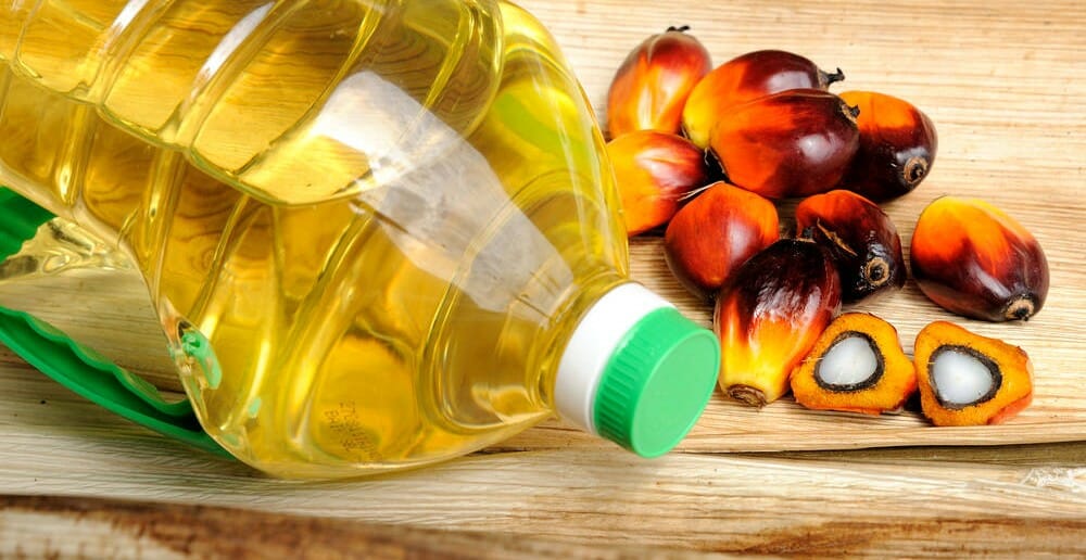 L'huile de palme fait-elle grossir ?