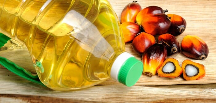 L'huile de palme fait-elle grossir ?