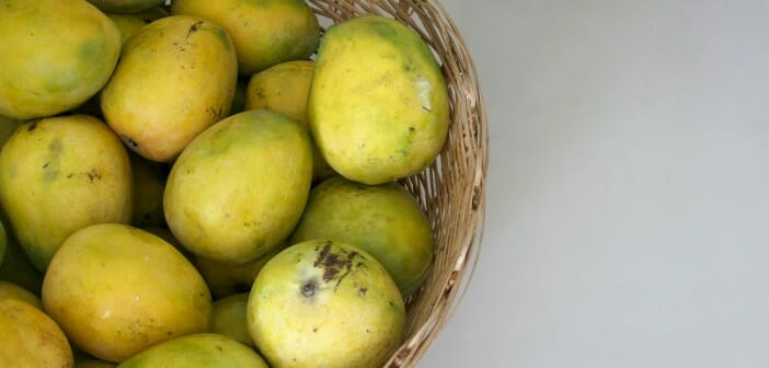 La mangue africaine fait-elle maigrir ?