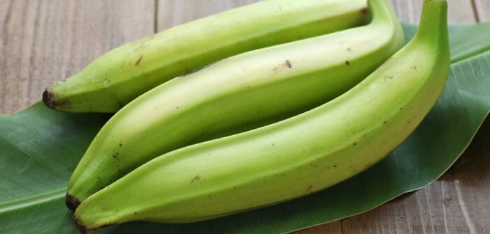la-banane-plantain-efficace-pour-maigrir