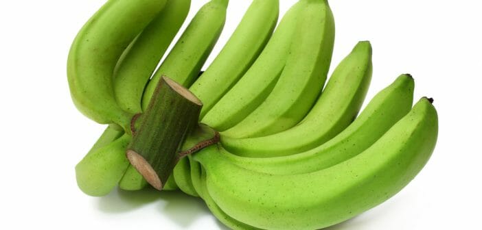 la-banane-verte-pour-maigrir