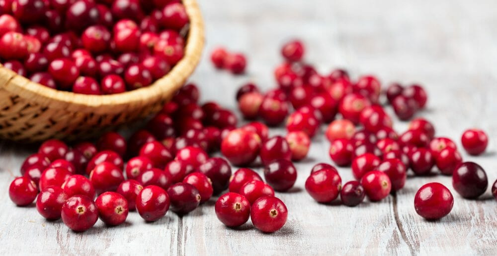 la-cranberry-un-fruit-ideal-pour-perdre-du-poids
