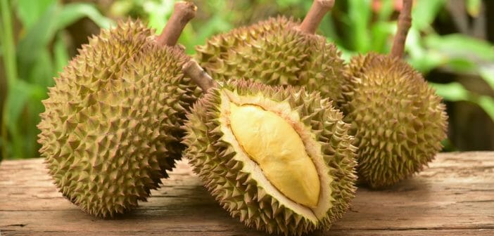 le-durian-fait-il-maigrir