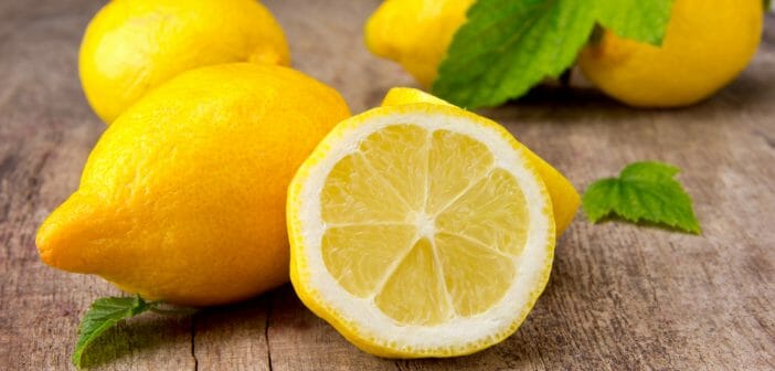 Le citron pour maigrir, est-ce que ça marche ? - Téléshopping