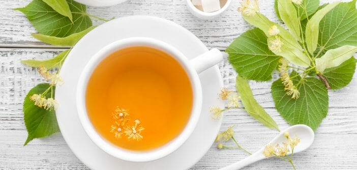 Quelle boisson pour maigrir choisir entre thé et infusion ?