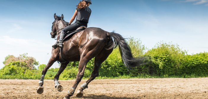 L'équitation fait grossir les cuisses : vrai ou faux