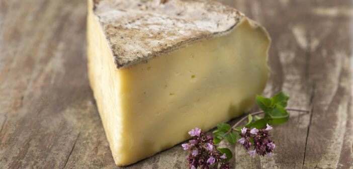 la-tomme-de-savoie-un-fromage-gras