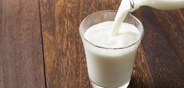 le-lait-sans-lactose-est-il-moins-calorique