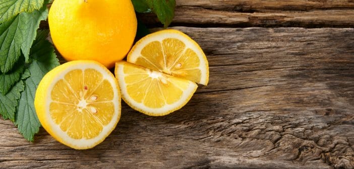 pulco citron pour perdre du poids