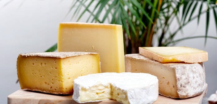 Quel fromage italien est le moins calorique ? - Le blog