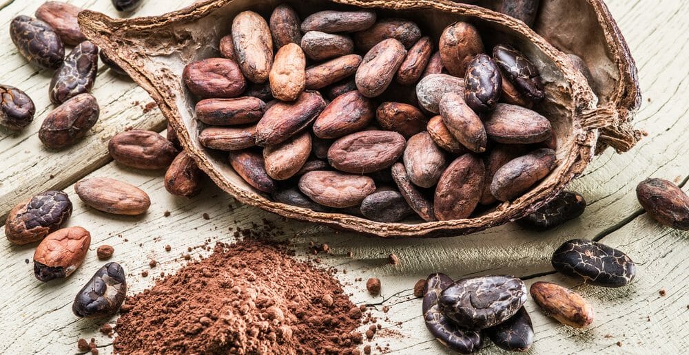 Comment consommer les fèves de cacao pour maigrir