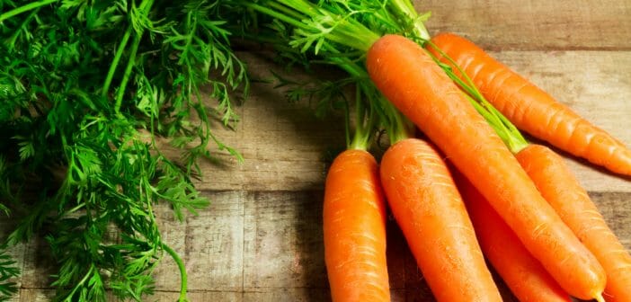 La carotte aide-t-elle à avoir un ventre plat