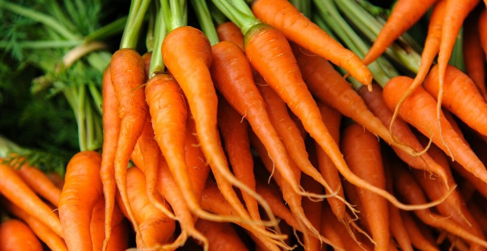 La carotte est-elle autorisée dans le régime paléo