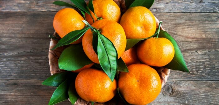 La mandarine, bon allié minceur pendant un régime