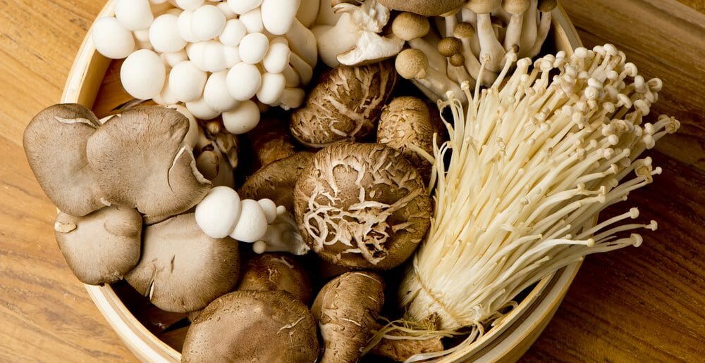 Le champignon est-il un aliment autorisé pendant le régime Dukan