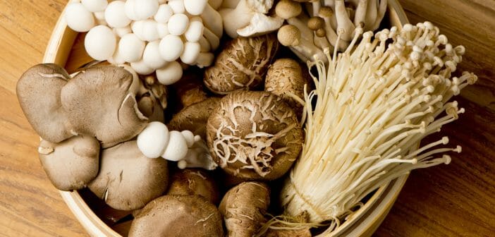 Le champignon est-il un aliment autorisé pendant le régime Dukan
