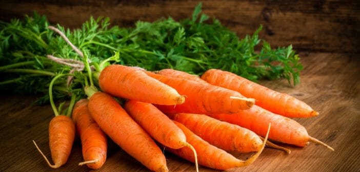 Manger de la carotte crue pendant un régime, la bonne idée minceur