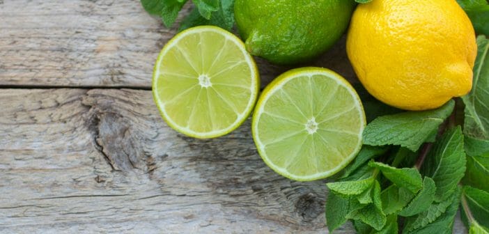 Citron vert ou citron jaune pour maigrir