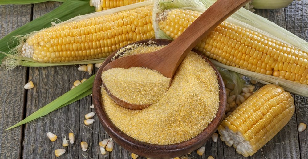 La farine de maïs fait-elle grossir ? - Le blog