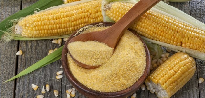 La farine de maïs fait-elle grossir