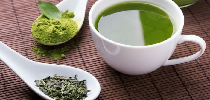 Le thé vert pour maigrir du ventre