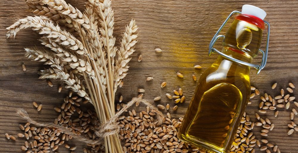 L'huile de germe de blé: des atouts exceptionnels - Le Blog