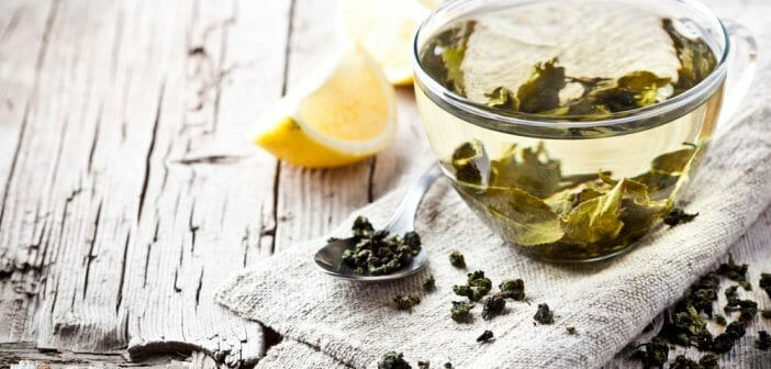 Le thé vert au citron fait-il maigrir ? - Le blog