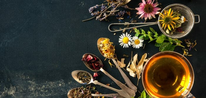 tisane pour maigrir bio : notre sélection d'infusion bio pour maigrir