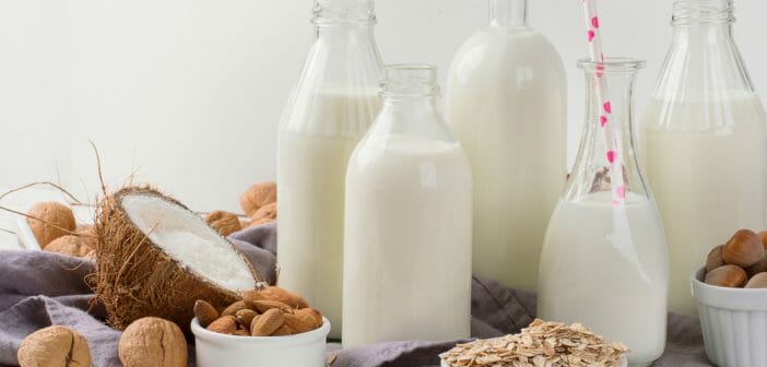 Top 5 des laits qui font grossir
