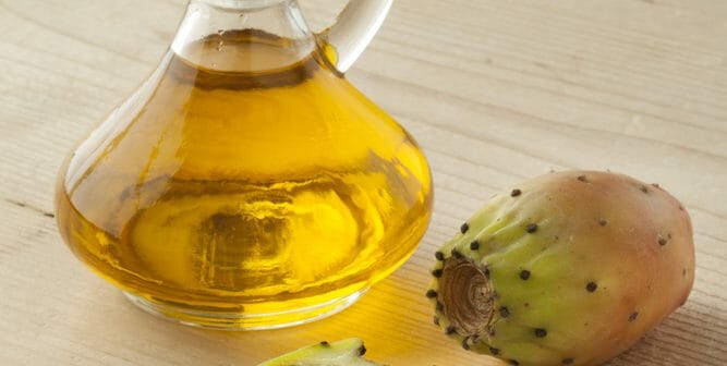 L'huile de figue de barbarie pour lutter contre les vergetures