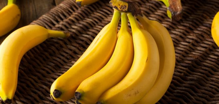 La banane : un indispensable pendant l'effort