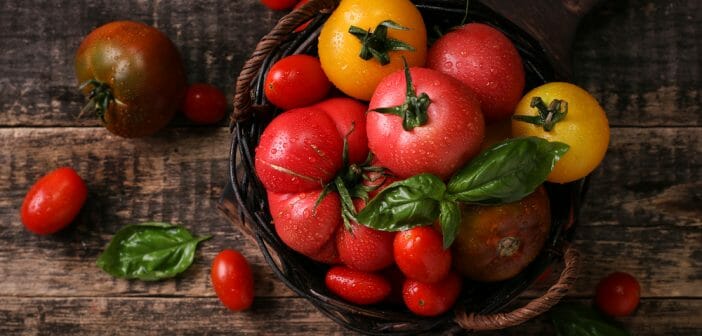 La tomate est-elle autorisée dans le régime alcalin