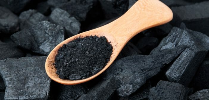 Le charbon végétal pour remédier aux ballonnements