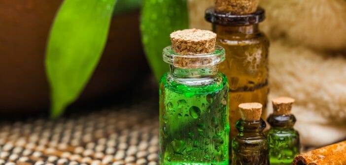 14 conseils pour utiliser l'huile Tea Tree dans votre vie- Blog