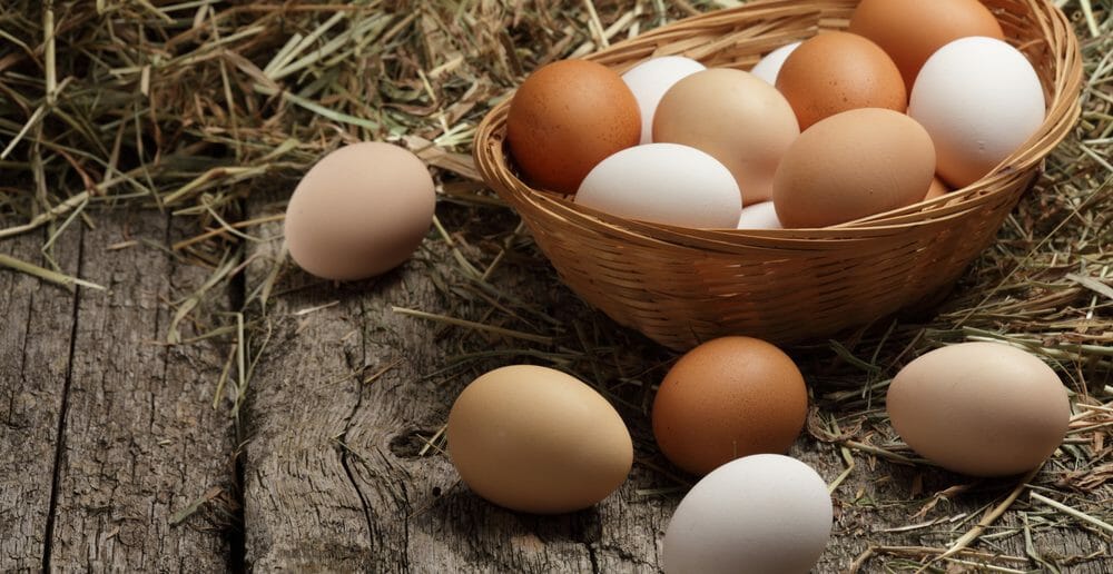 Manger des œufs tous les jours fait-il grossir ou maigrir