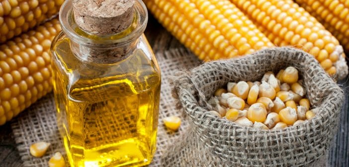 Valeur nutritionnelle et calories de l’huile de maïs
