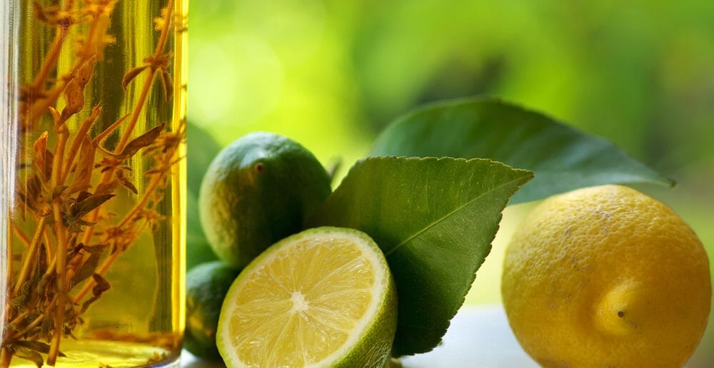Vinaigre ou citron : lequel choisir pour maigrir ?